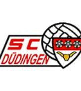 Düdingen II