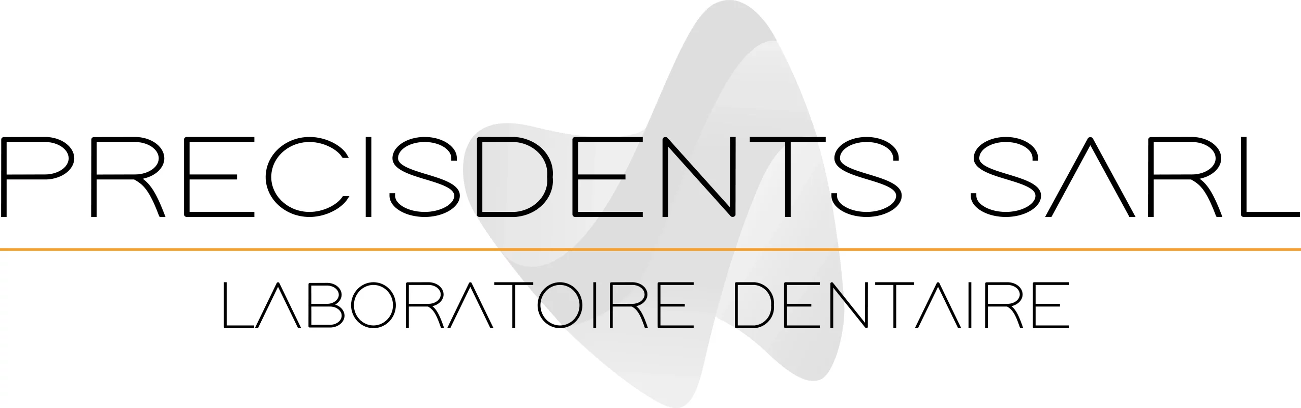 https://www.fcrichemond.ch/wp-content/uploads/2025/03/Precisdents-Sarl2-scaled.webp